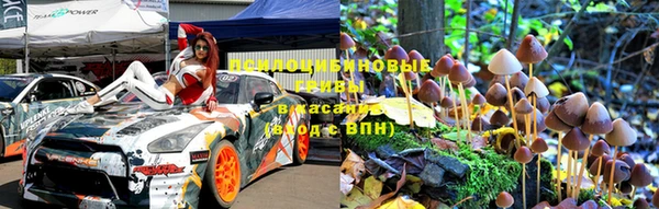 ГАЛЛЮЦИНОГЕННЫЕ ГРИБЫ Алзамай