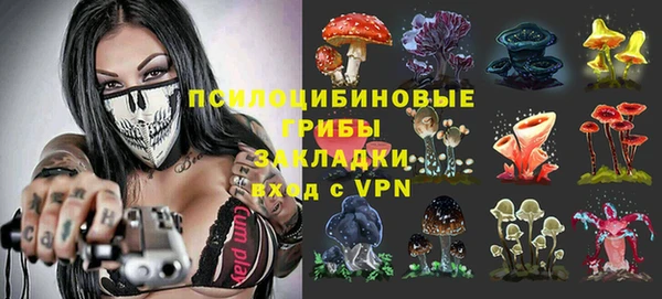 гидропоника Алексеевка