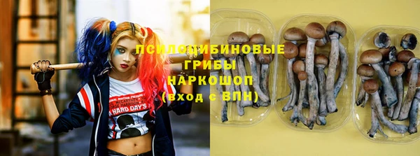кокс Арсеньев
